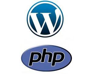 Categorie e Custom Post Type in WordPress